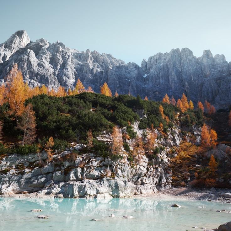 Alpine wilderness landscape